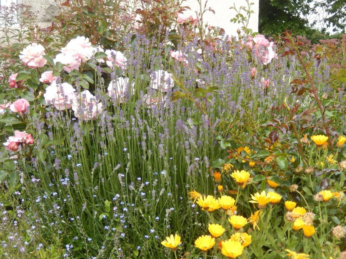 Bed and Breakfast Le Tregonnec, Pres De Morlaix, Roscoff Plouvorn Экстерьер фото